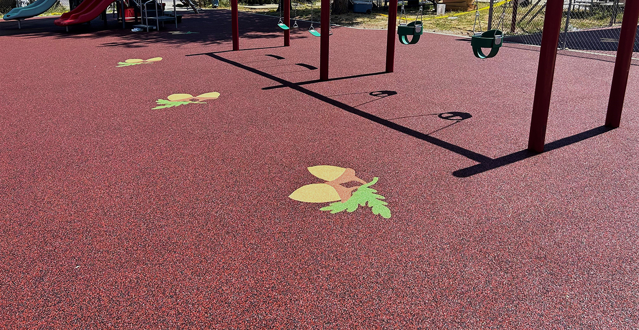 Rubber Mulch Vs Wood Mulch: Cost, Safety, and Maintenance